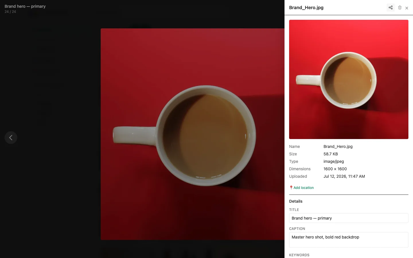 Asset detail — metadata panel showing title, caption, keywords and file info over a full-size preview