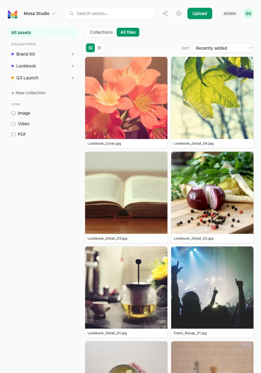 Mosa on a tablet — the asset grid on iPad